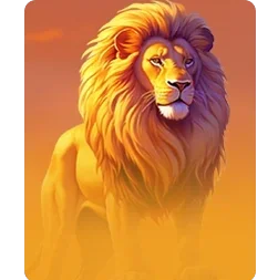 Lion
Safari